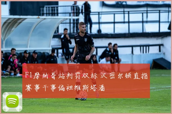 F1摩纳哥站判罚双标 汉密尔顿直指赛事干事偏袒维斯塔潘